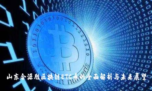 山东合源胜区块链ETC币的全面解析与未来展望
