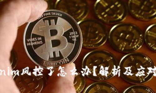 tokenim风控了怎么办？解析及应对策略