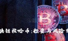 区块链梭哈币：投资与风险分析