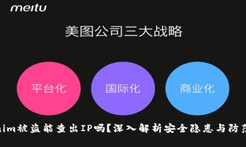Tokenim被盗能查出IP吗？深入解析安全隐患与防范措施