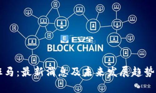 区块链斑马：最新消息及未来发展趋势深度解析