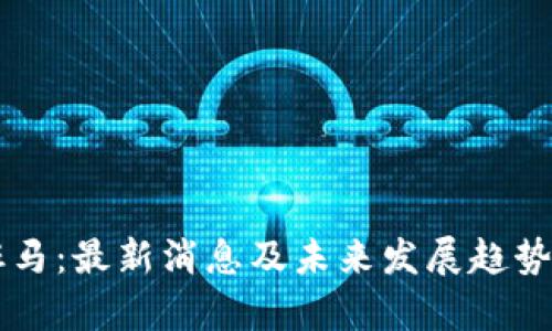 区块链斑马：最新消息及未来发展趋势深度解析