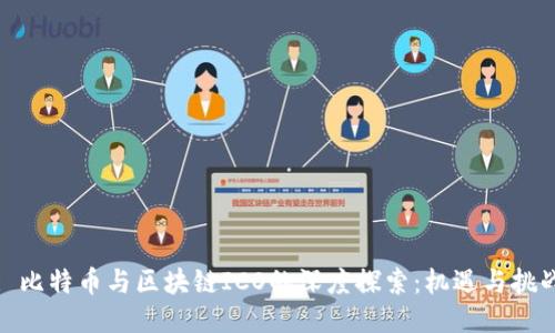 : 比特币与区块链ICO的深度探索：机遇与挑战