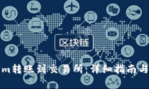 如何将Tokenim转账到交易所：详细指南与常见问题解答