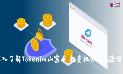 深入了解Tokenim山寨币：投资机会与风险分析