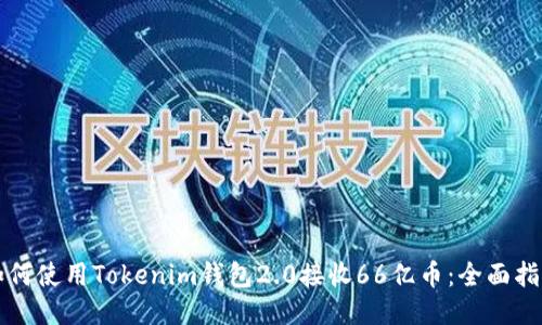 如何使用Tokenim钱包2.0接收66亿币：全面指南