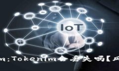 : 解密Tokenim：Tokenim会丢失吗？风险与管理指南