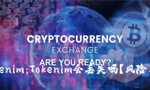 : 解密Tokenim：Tokenim会丢失吗？风险与管理指南