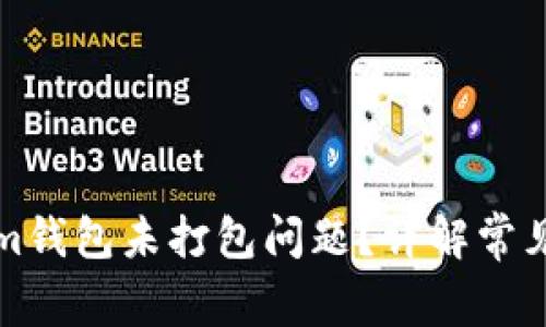 如何解决Tokenim钱包未打包问题？详解常见故障与解决方案