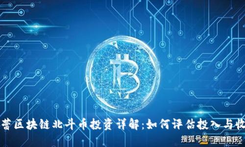 张蕾区块链北斗币投资详解:如何评估投入与收益
