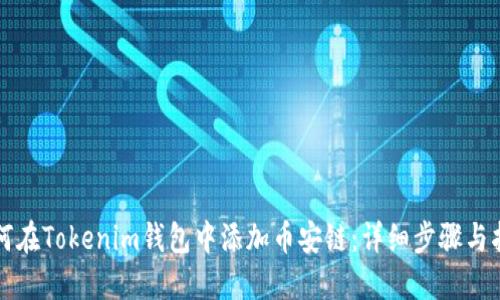 如何在Tokenim钱包中添加币安链：详细步骤与指南