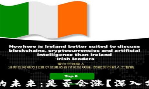 
区块链币的未来：是否会涨？深入分析与洞察