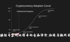 区块链专家对比特币的全面评价：机遇与挑战并