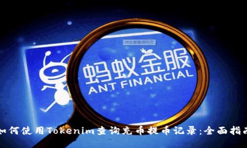 如何使用Tokenim查询充币提币记录:全面指南