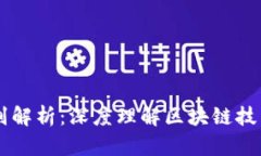 区块链与抄币的区别解析：深度理解区块链技术