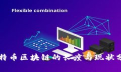 比特币区块链的长度与现状分析