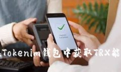 如何在Tokenim钱包中获取TRX能量指南