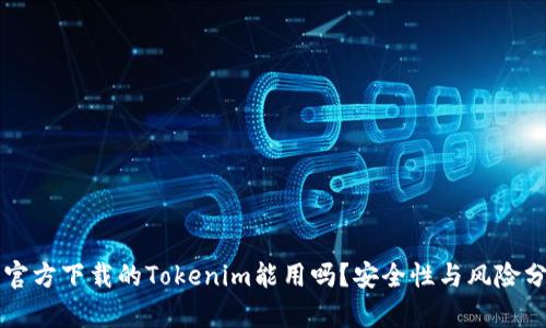 非官方下载的Tokenim能用吗？安全性与风险分析