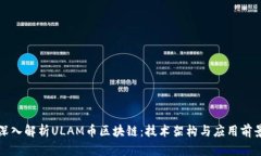 深入解析ULAM币区块链：技术架构与应用前景