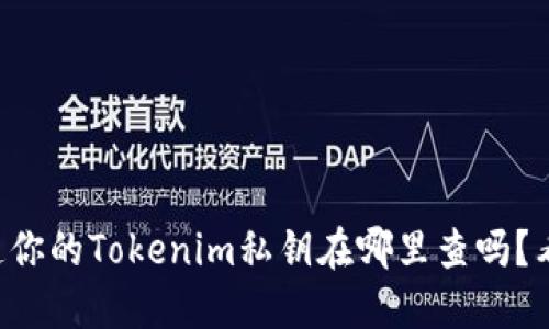 想知道你的Tokenim私钥在哪里查吗？看这里！