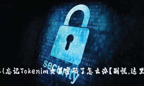 verters哦不！忘记Tokenim交易密码了怎么办？别慌，这里有解决办法！
