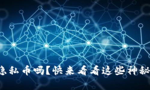 你知道有哪些隐私币吗？快来看看这些神秘的区块链货币！