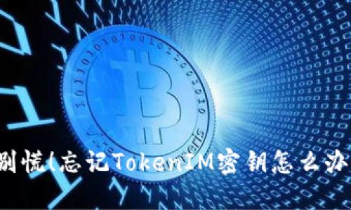 “别慌！忘记TokenIM密钥怎么办？”