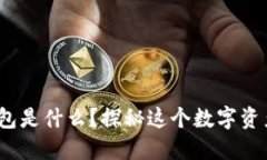 “Tokenim钱包是什么？探秘这个数字资产管理工具
