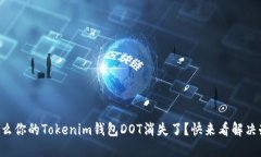 为什么你的Tokenim钱包DOT消失了？快来看解决办法