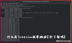 什么是Tokenim找零地址？你了解吗？