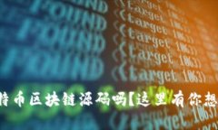 想深入了解比特币区块链源码吗？这里有你想要