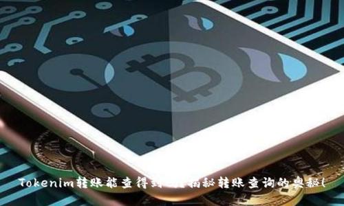 Tokenim转账能查得到吗？揭秘转账查询的奥秘！