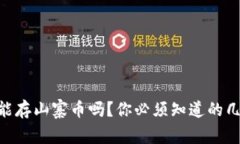 Tokenim能存山寨币吗？你必须知道的几个关键点