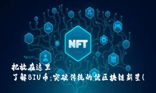 把放在这里  
了解BIU币：突破传统的优区块链新星！