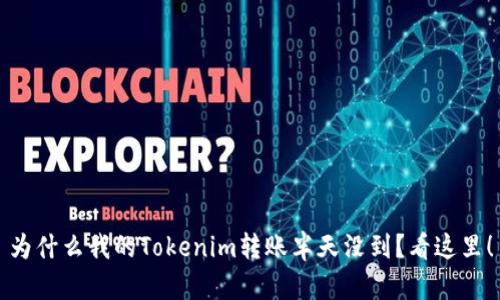 为什么我的Tokenim转账半天没到？看这里！