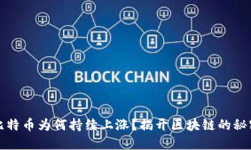 比特币为何持续上涨？揭开区块链的秘密