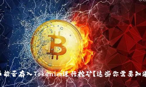 GT币能否存入Tokenim进行挖矿？这些你需要知道的！