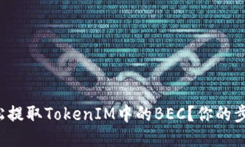 如何轻松提取TokenIM中的BEC？你的步骤指南！