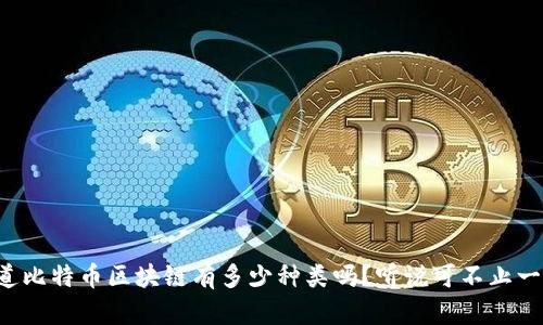 你知道比特币区块链有多少种类吗？听说可不止一种哦！