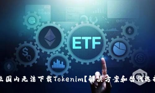 为什么国内无法下载Tokenim？解决方案和替代选择分析