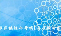 你了解比特币区块链小哥吗？与币圈专家聊聊那