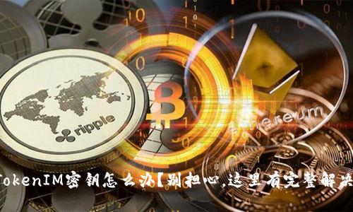 忘记TokenIM密钥怎么办？别担心，这里有完整解决方案！