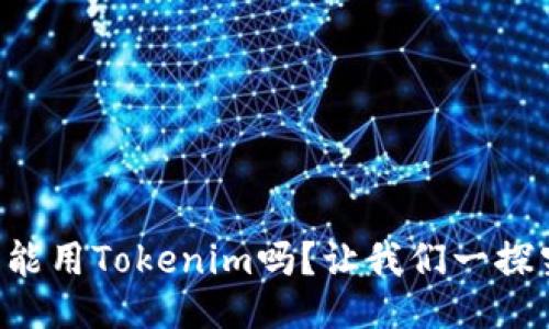 国内能用Tokenim吗？让我们一探究竟！