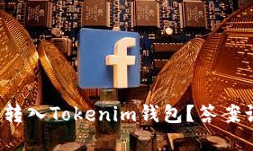 : 世界币能否转入Tokenim钱包？答案让你大吃一惊！