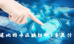 你知道比特币区块链的1手是什么吗？