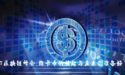 2017区块链峰会：维卡币的崛起与未来你准备好了吗？
