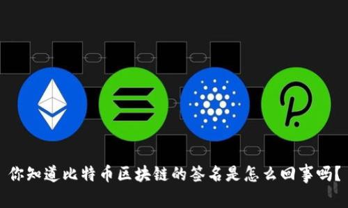 你知道比特币区块链的签名是怎么回事吗？