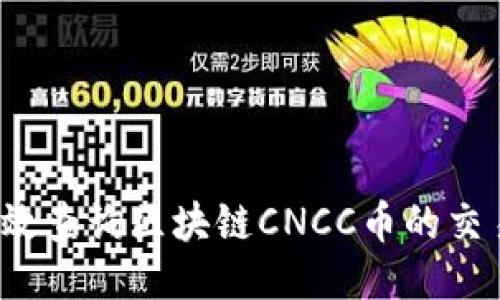如何高效查询区块链CNCC币的交易记录？