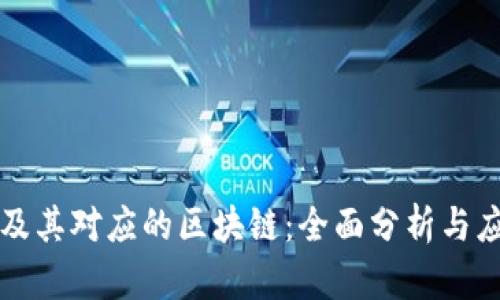 雷达币及其对应的区块链：全面分析与应用前景