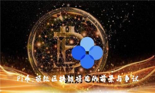 Pi币：顶级区块链项目的前景与争议